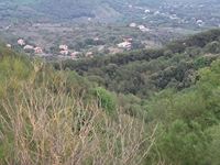 Monti Rossi Nicolosi